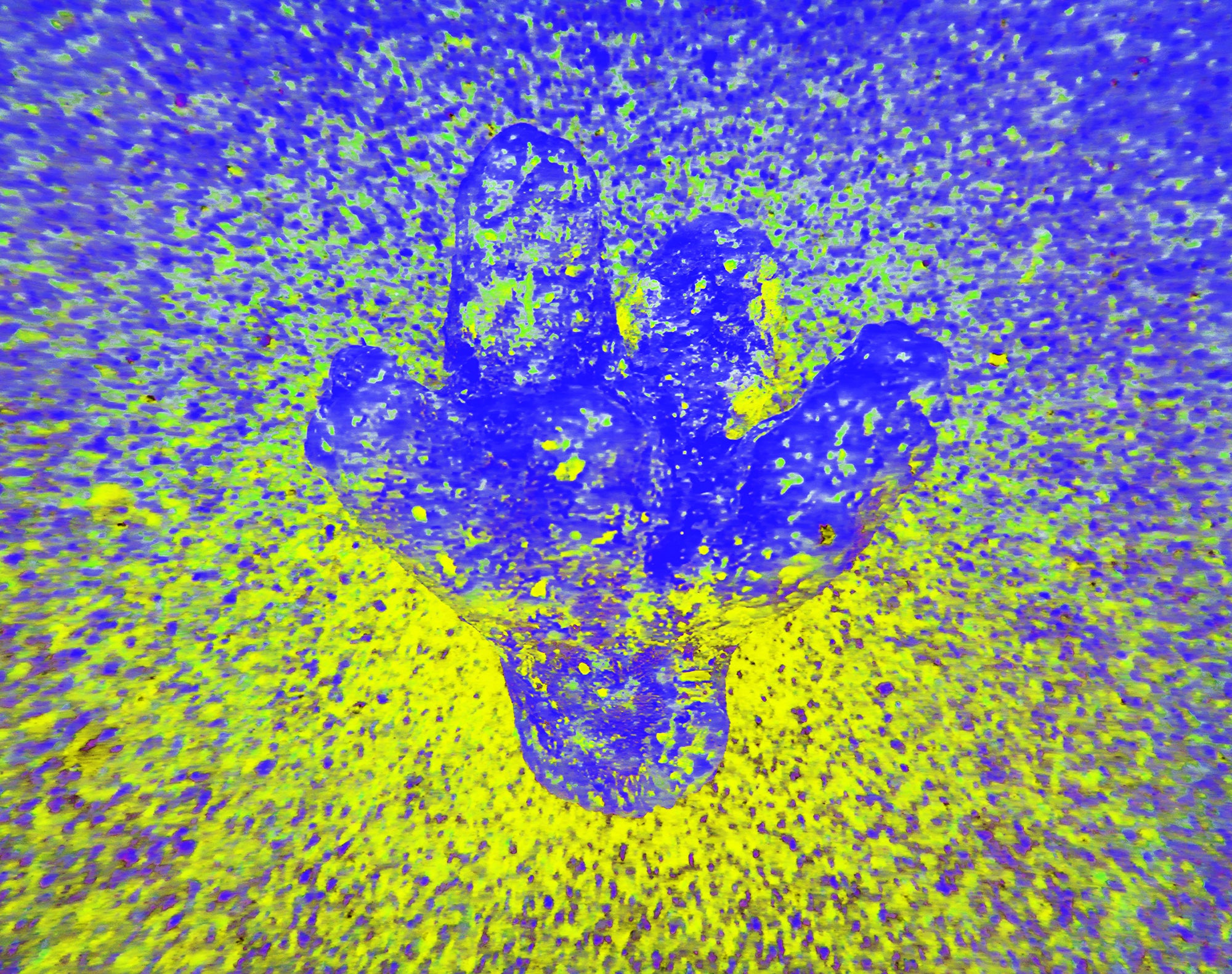 Tjasa Iris, SACRED APPARENCE OF A BENEVOLENT SEA DEITY, 120 x 160 cm, 2023