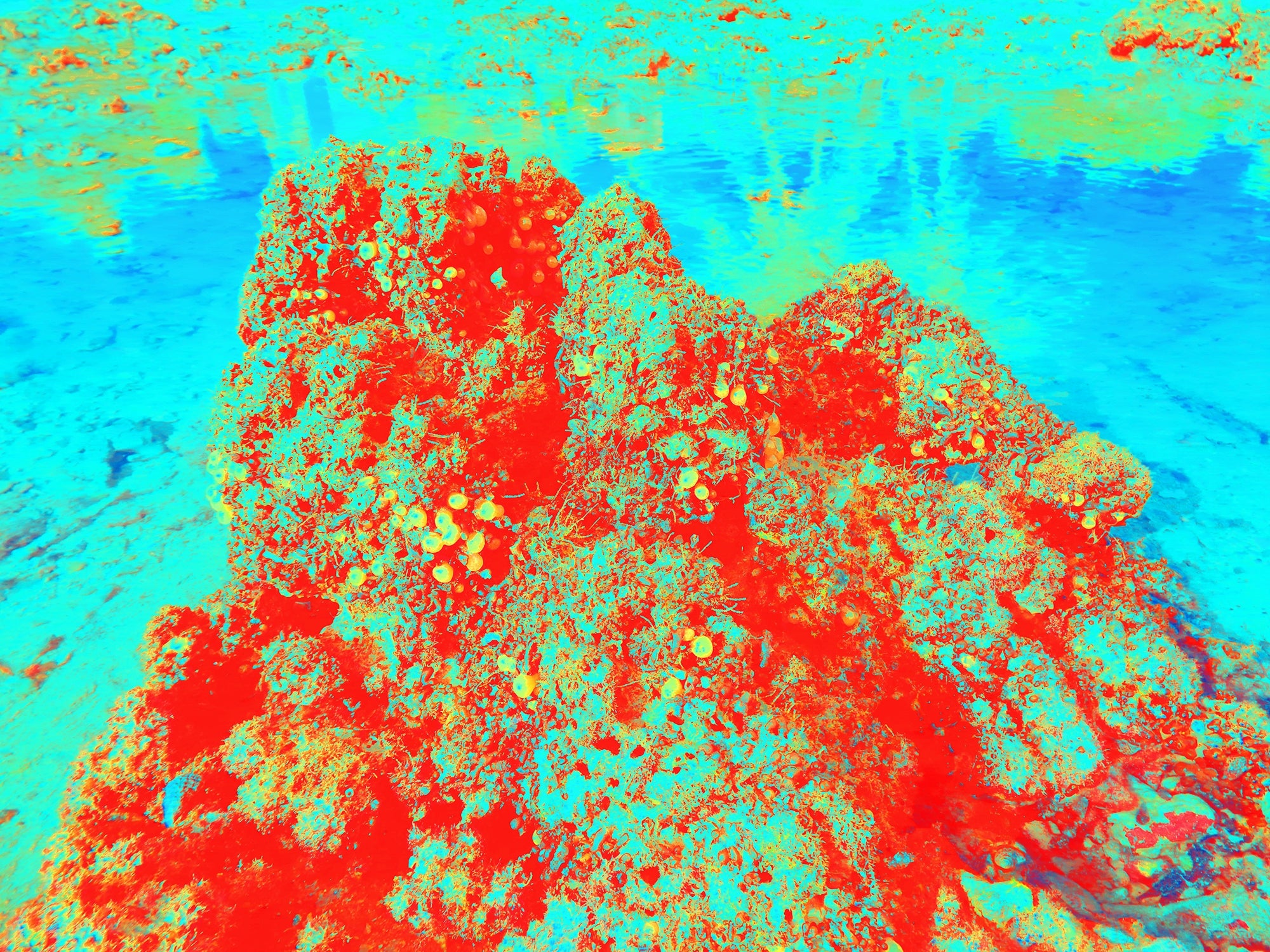 Tjaša Iris, LANDSCAPE WITH RED MOUNTAIN, 2022, 120 x 160 cm