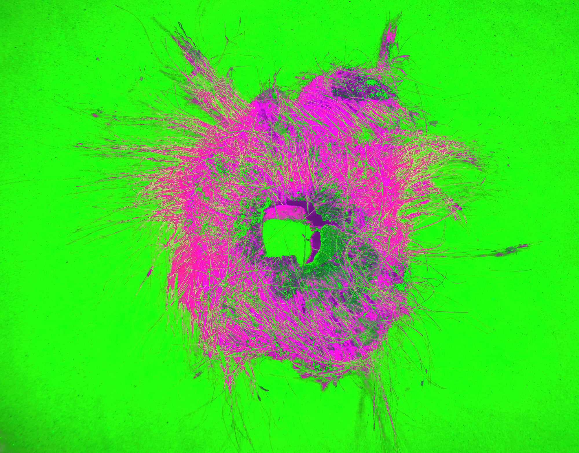 Tjasa Iris, COCONUT AND SQUARE WINDOW INTO ETERNAL SEA, 2022