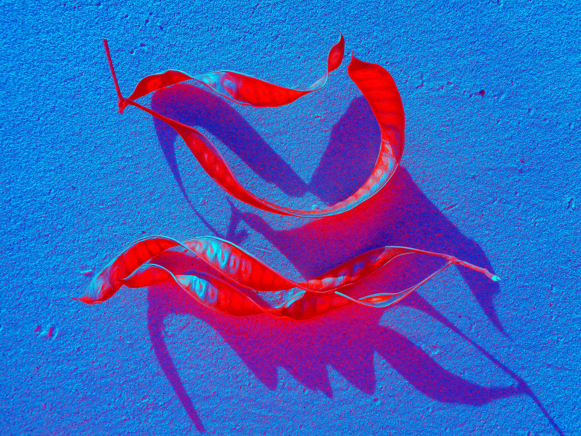 Tjaša Iris, SACRED CALIGRAPHY TELLING STORY OF THE SEA, 120 x 160 cm, 2022