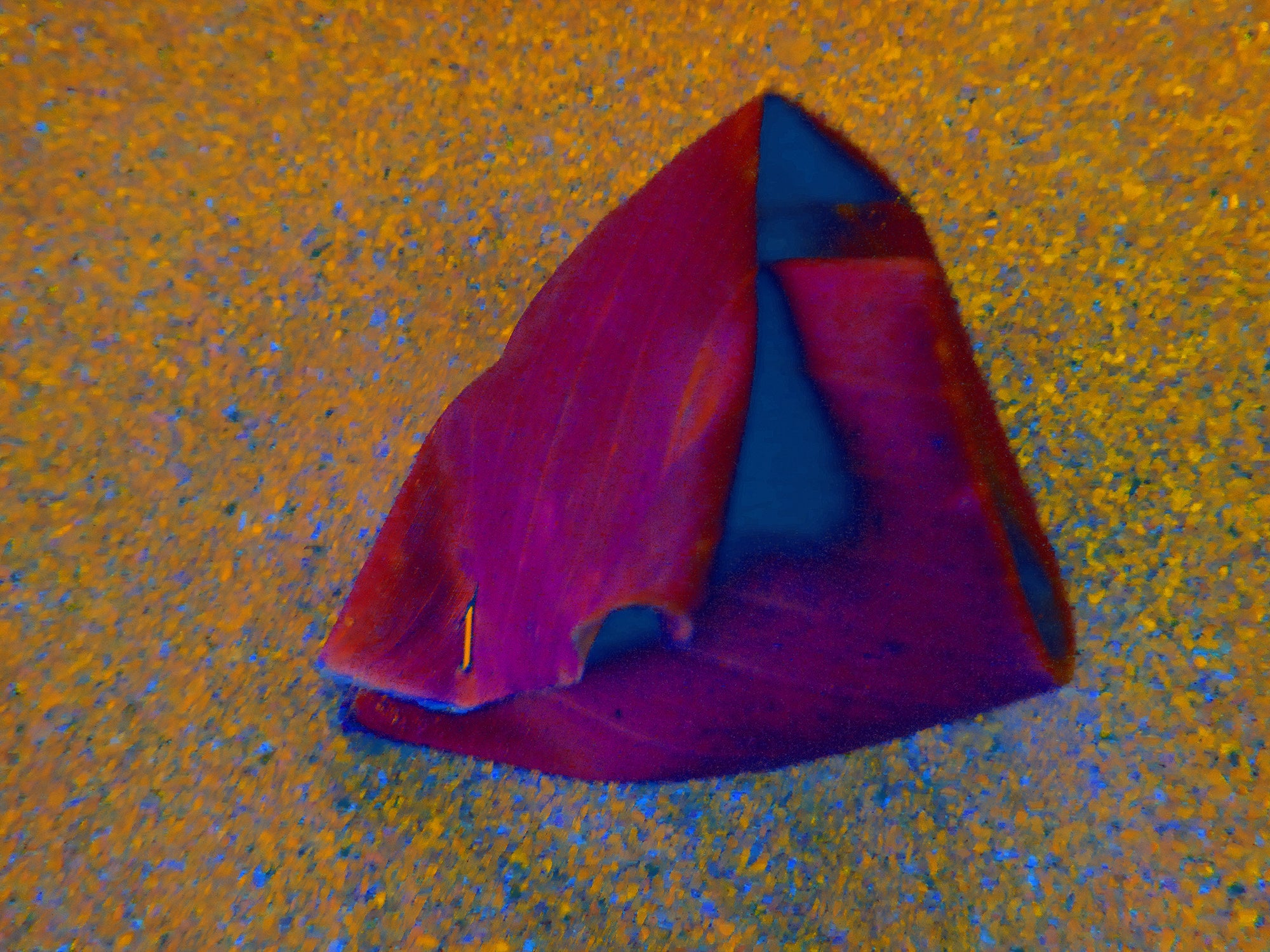 Tjaša Iris, BANANA WRAP, 1, 2023, 120 x 160 cm