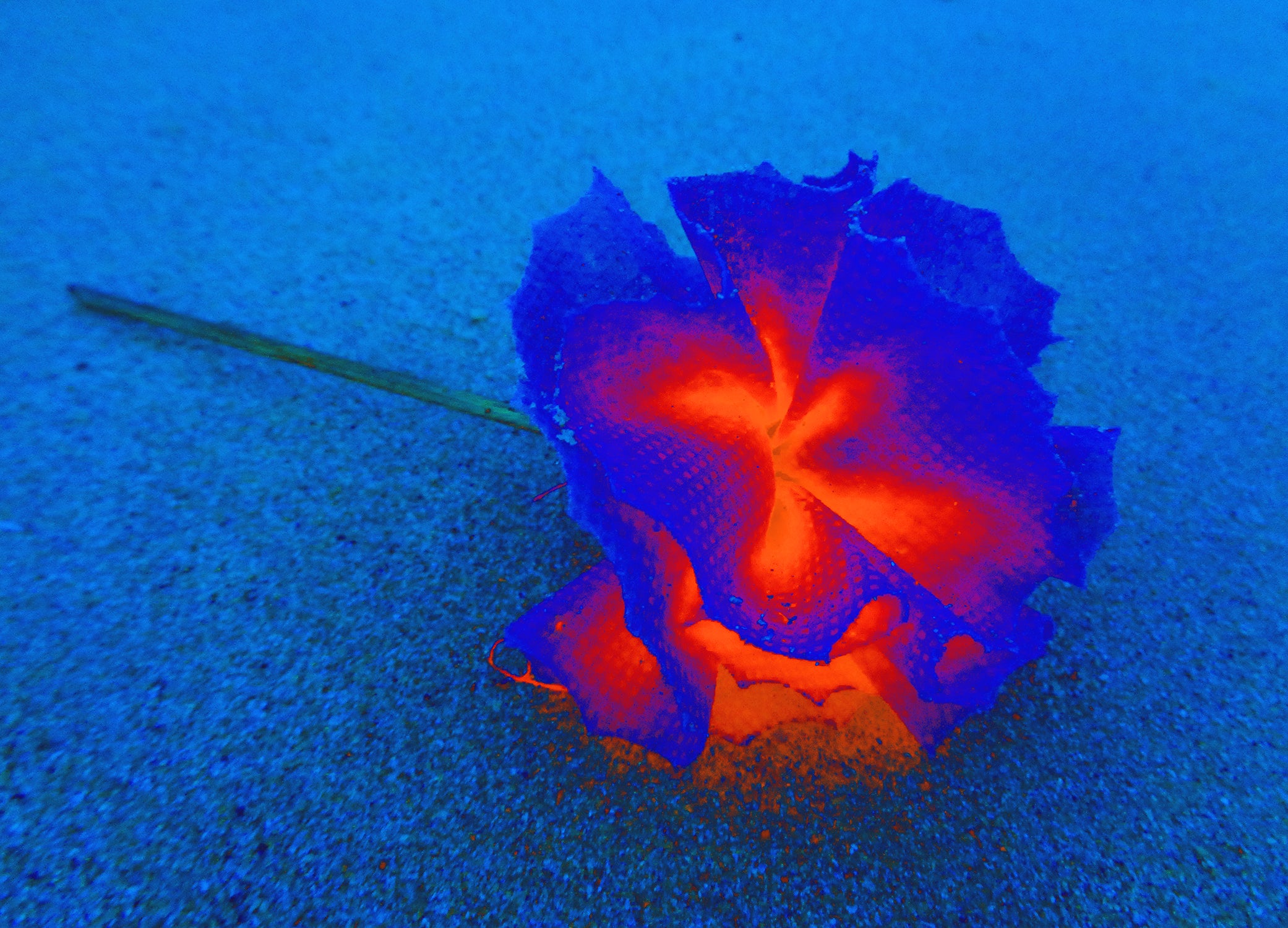 Tjaša Iris, GIFT OF THE GODDESS OF WATER, 3, 2022, 120 x 160 cm