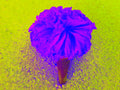 Tjaša Iris, MARIGOLD FLOWER OFFERING, 3, 2023, 120 x 160 cm