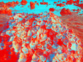 Tjasa Iris, LANDSCAPE WITH NACRE, 1, 120 x 160 cm, 2023