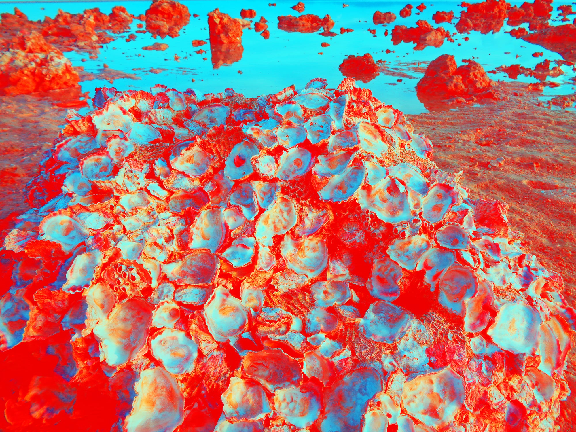 Tjasa Iris, LANDSCAPE WITH NACRE, 1, 120 x 160 cm, 2023
