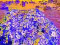 Tjasa Iris, MOON SCAPE, 2, 120 x 160 cm, 2023