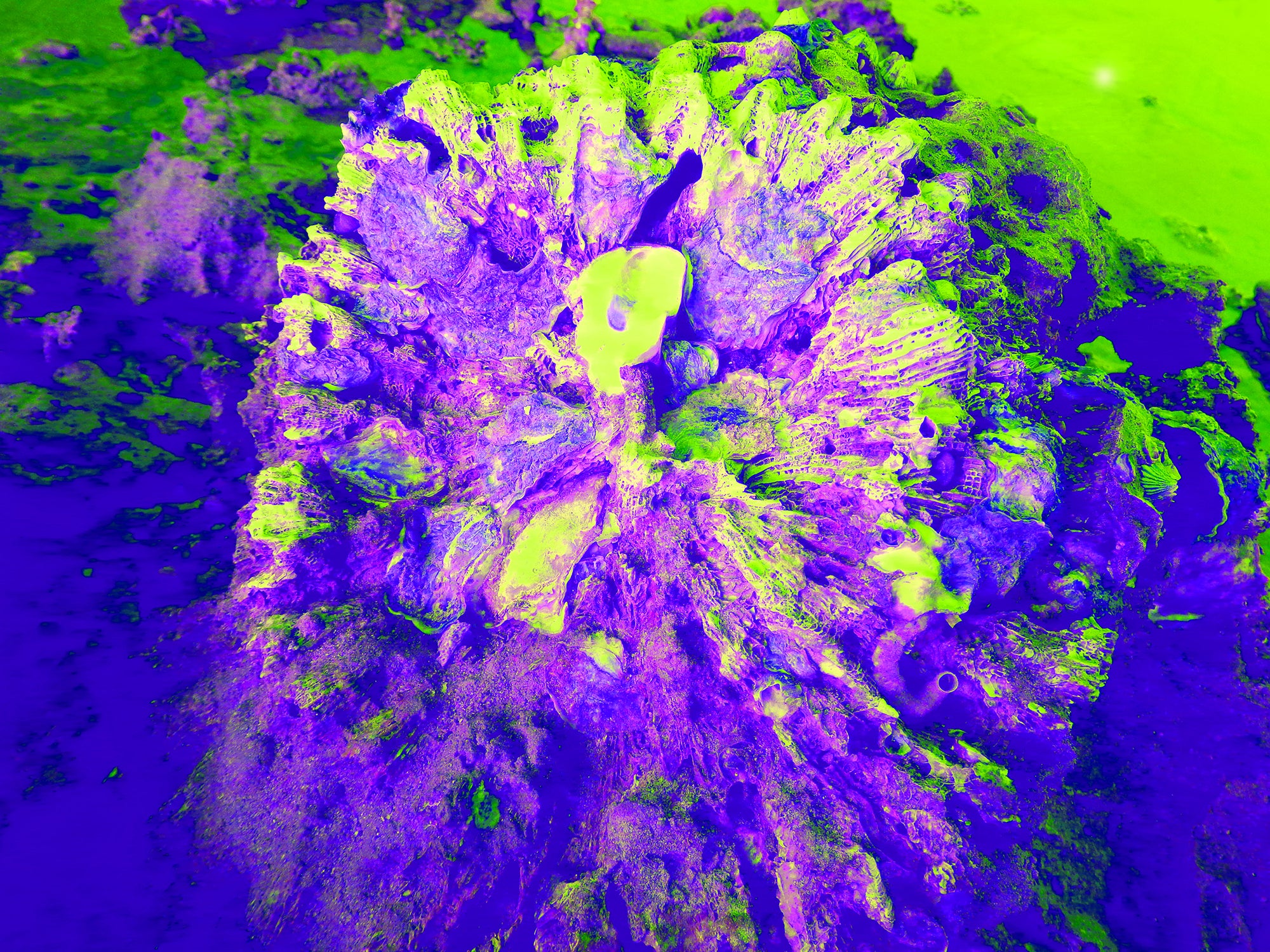 Tjasa Iris, SQUARE FLOWER, 1, 2023, 120 × 160 cm