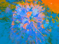 Tjasa Iris, SQUARE FLOWER, 5, 120 x 160 cm, 2023