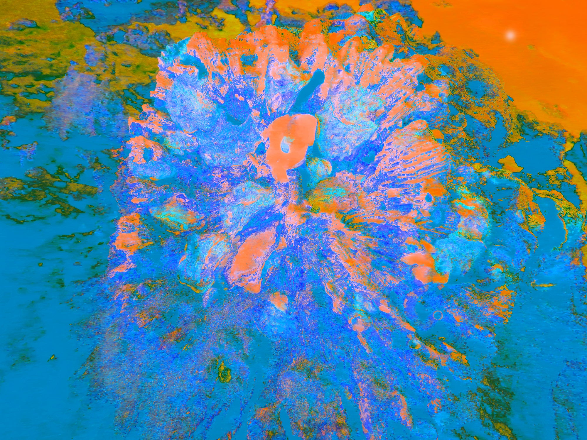 Tjasa Iris, SQUARE FLOWER, 5, 120 x 160 cm, 2023