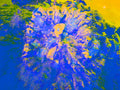 Tjasa Iris, SQUARE FLOWER, 4, 120 x 160 cm, 2023