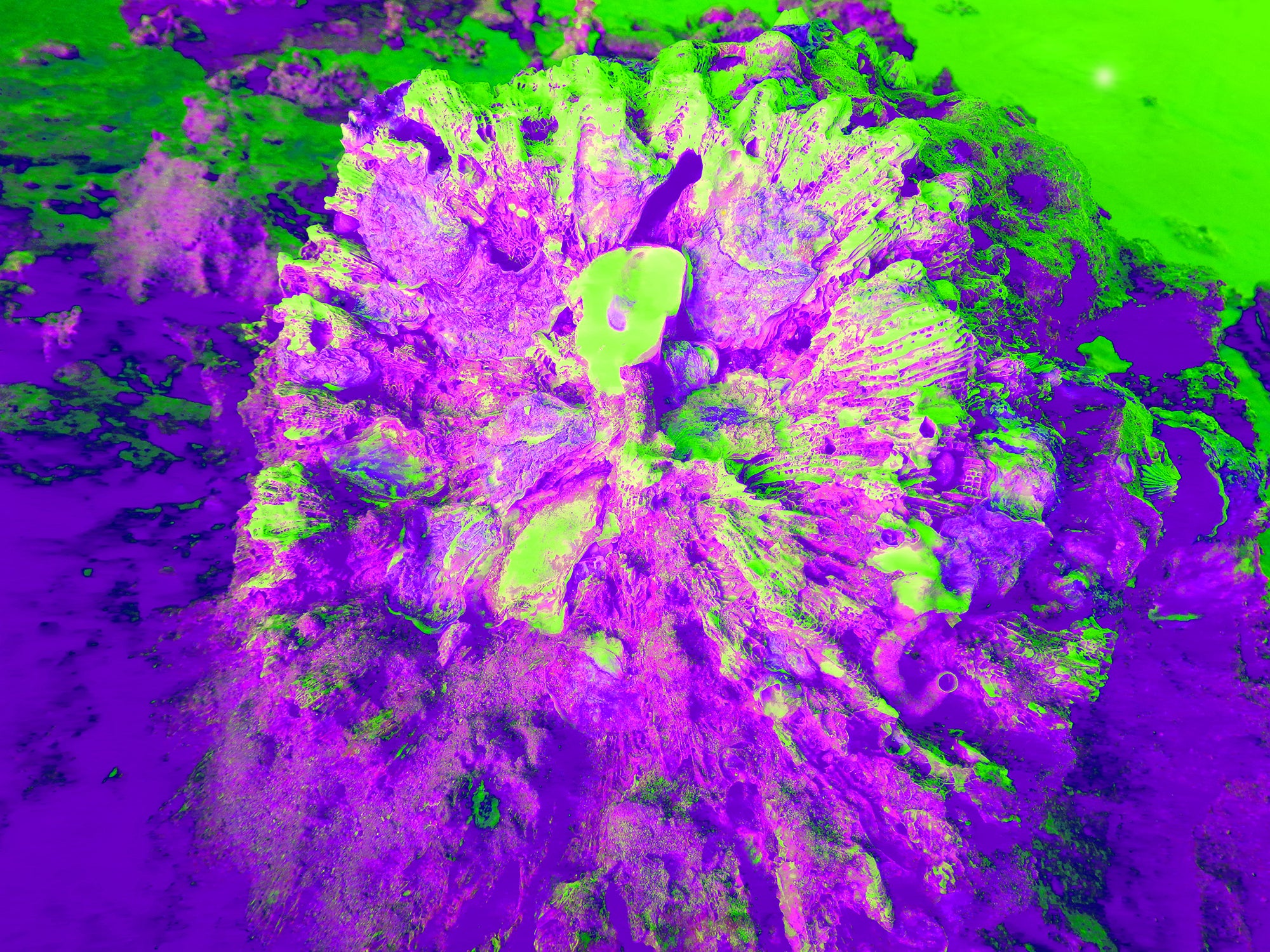 Tjasa Iris, SQUARE FLOWER, 3, 120 x 160 cm, 2023
