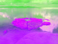 Tjaša Iris, CORAL ISLAND WITH CALM SEA FLAT AS A MIRROR, 2022, 120 x 160 cm