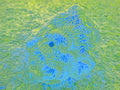 Tjaša Iris, GHOST PLANT, 2023, 120 x 160 cm