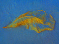 Tjaša Iris, LEAF, 2, 2023, 120 x 160 cm