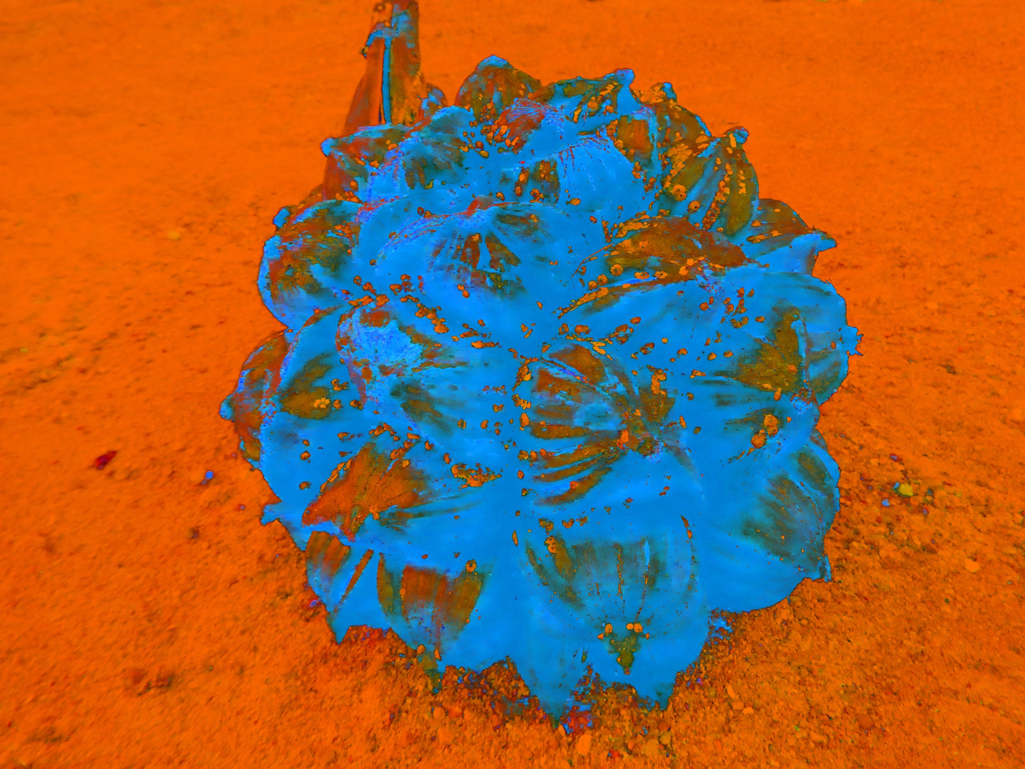 Tjaša Iris, NUTS, 4, 2023, 120 x 160 cm