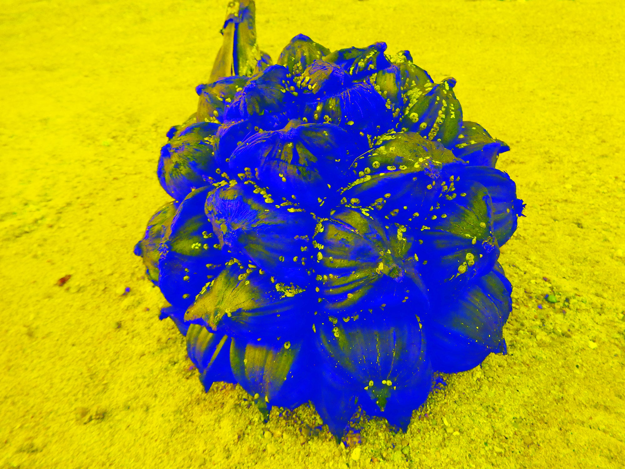 Tjaša Iris, NUTS, 3, 2023, 120 x 160 cm