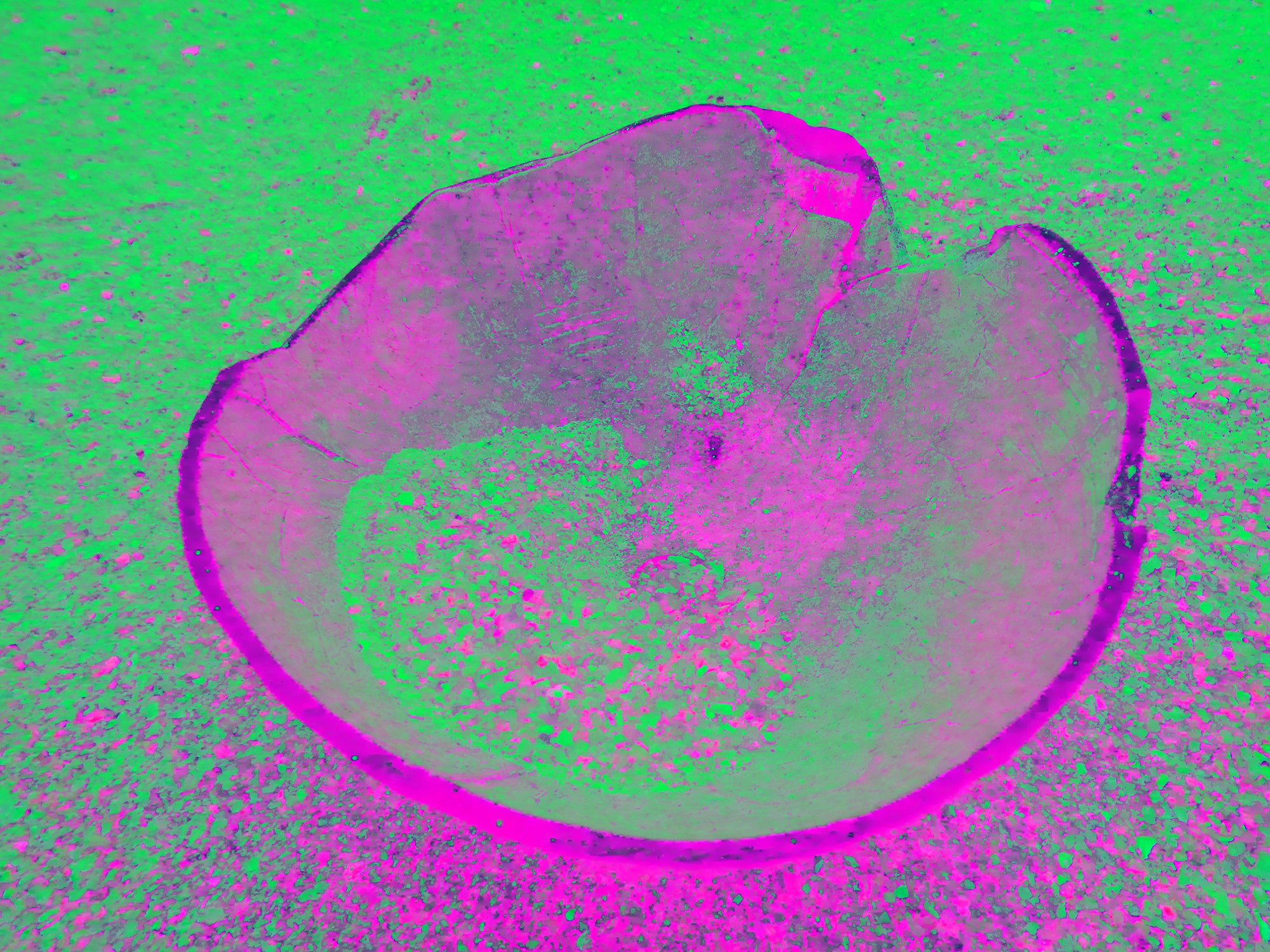 Tjasa Iris, BOWL, 2, 120 x 160 cm, 2023