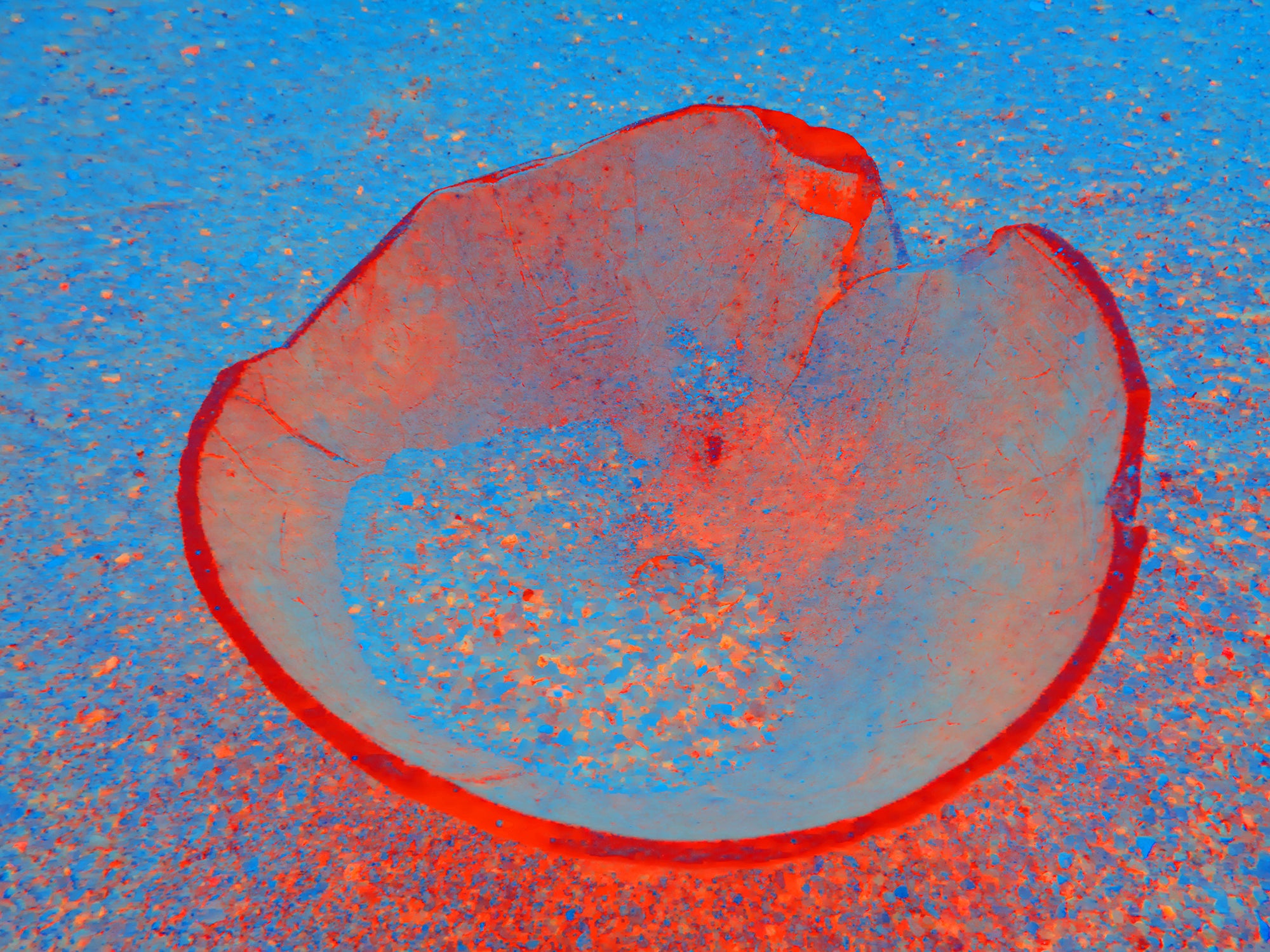 Tjasa Iris, BOWL, 3, 2023, 120 x 160 cm