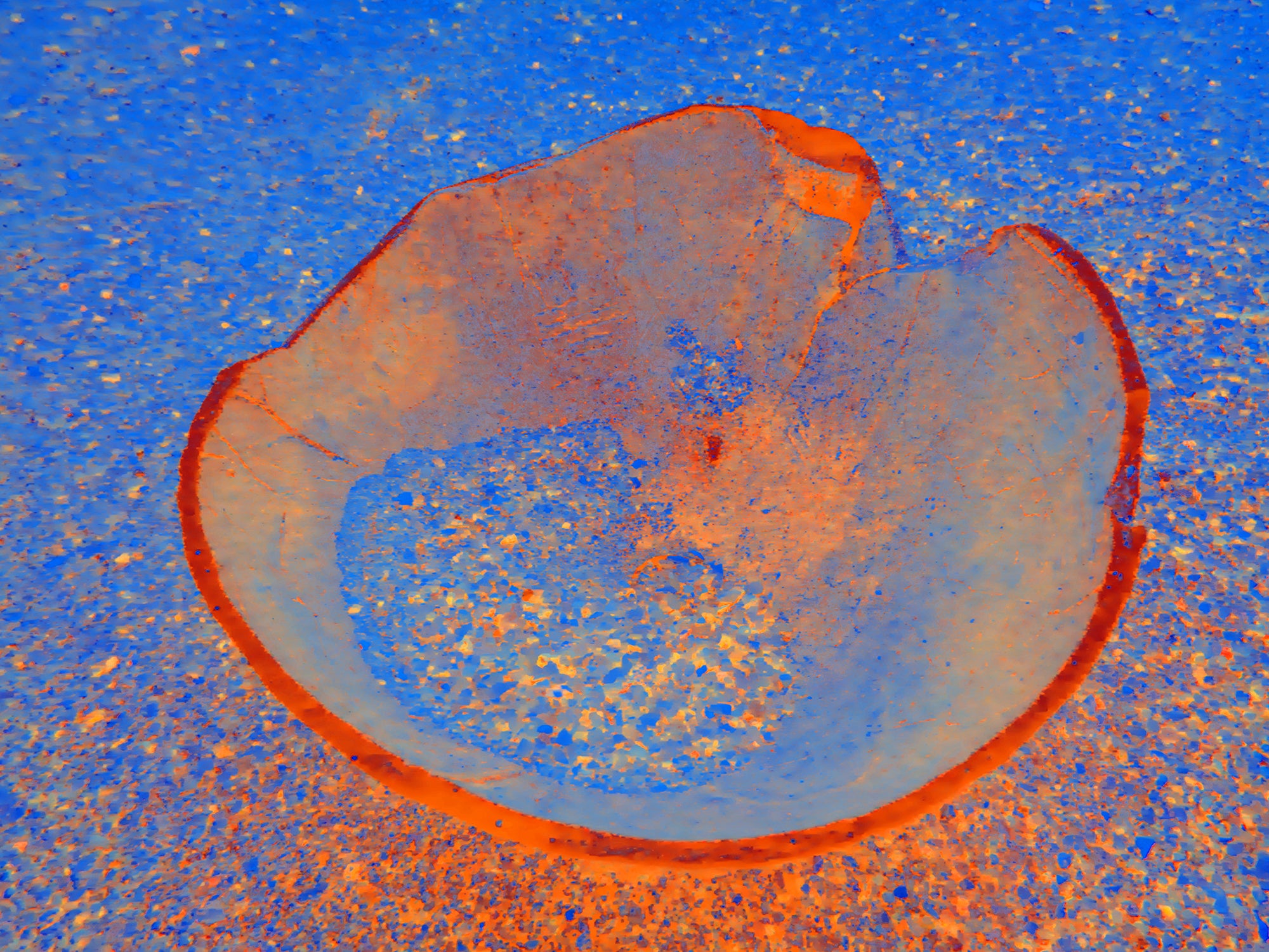 Tjasa Iris, BOWL, 1, 120 x 160 cm, 2023