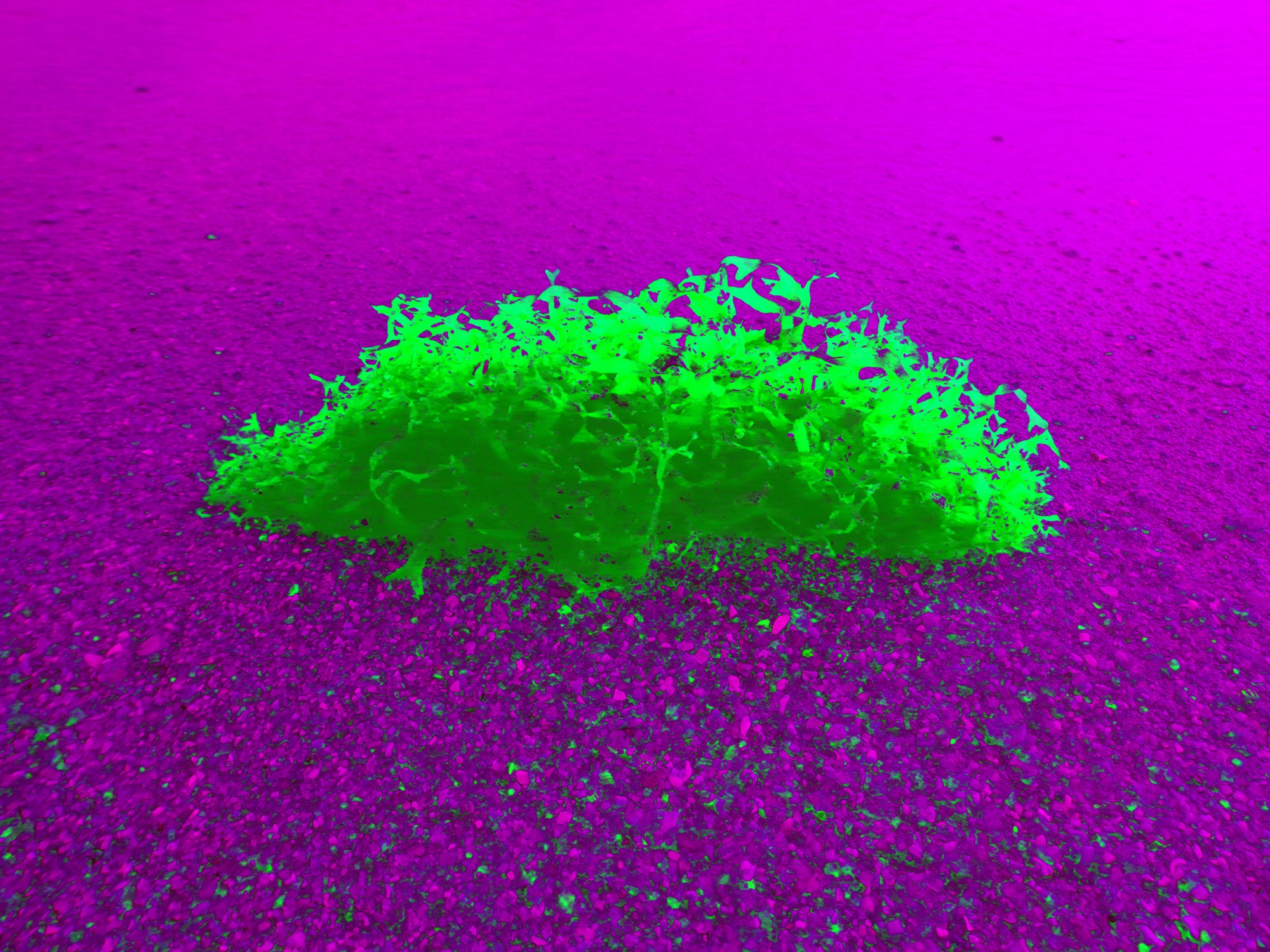 Tjaša Iris, WEIRD ISLAND, 4, 2023, 120 x 160 cm