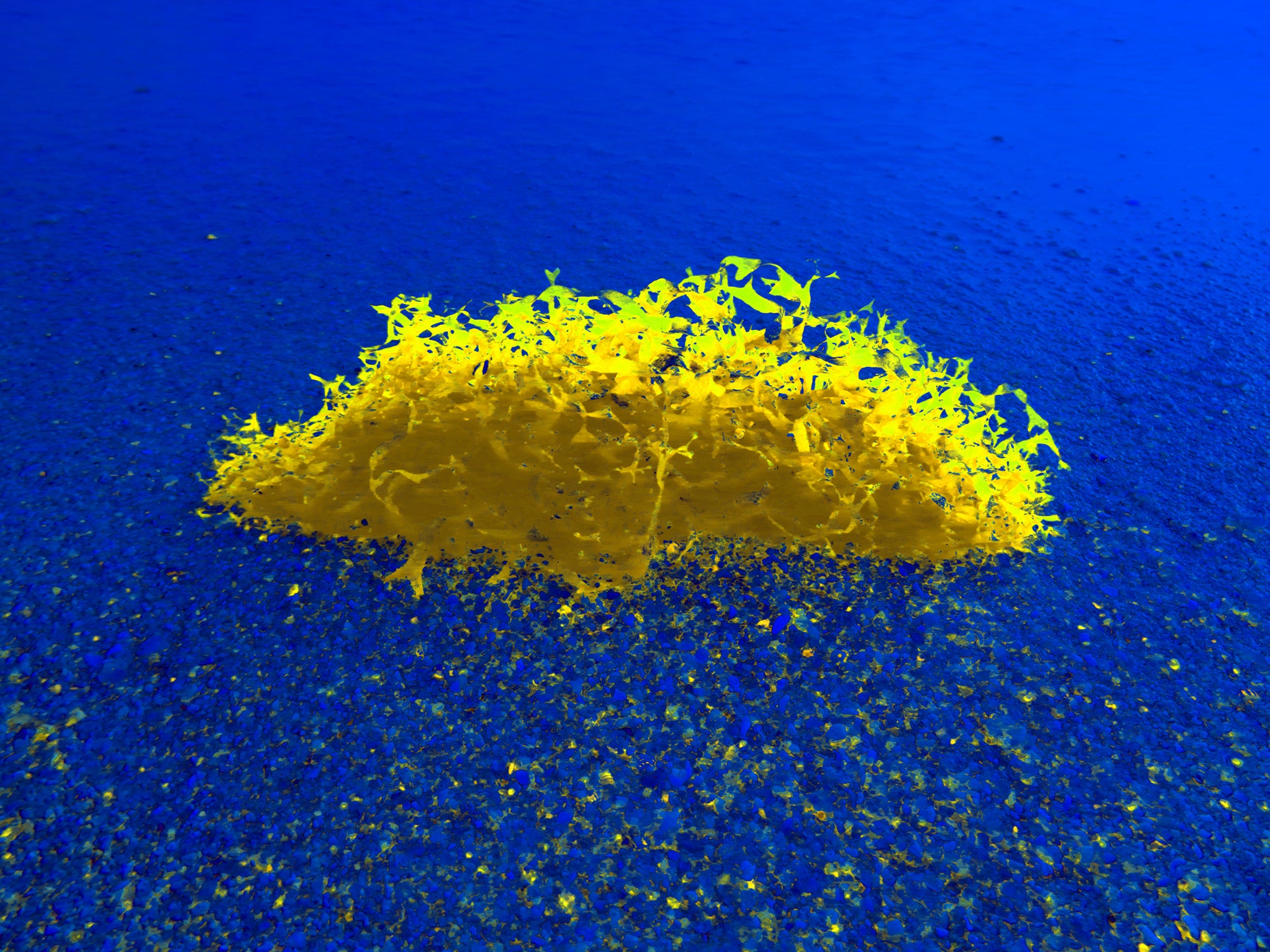 Tjaša Iris, WEIRD ISLAND, 3, 2023, 120 x 160 cm