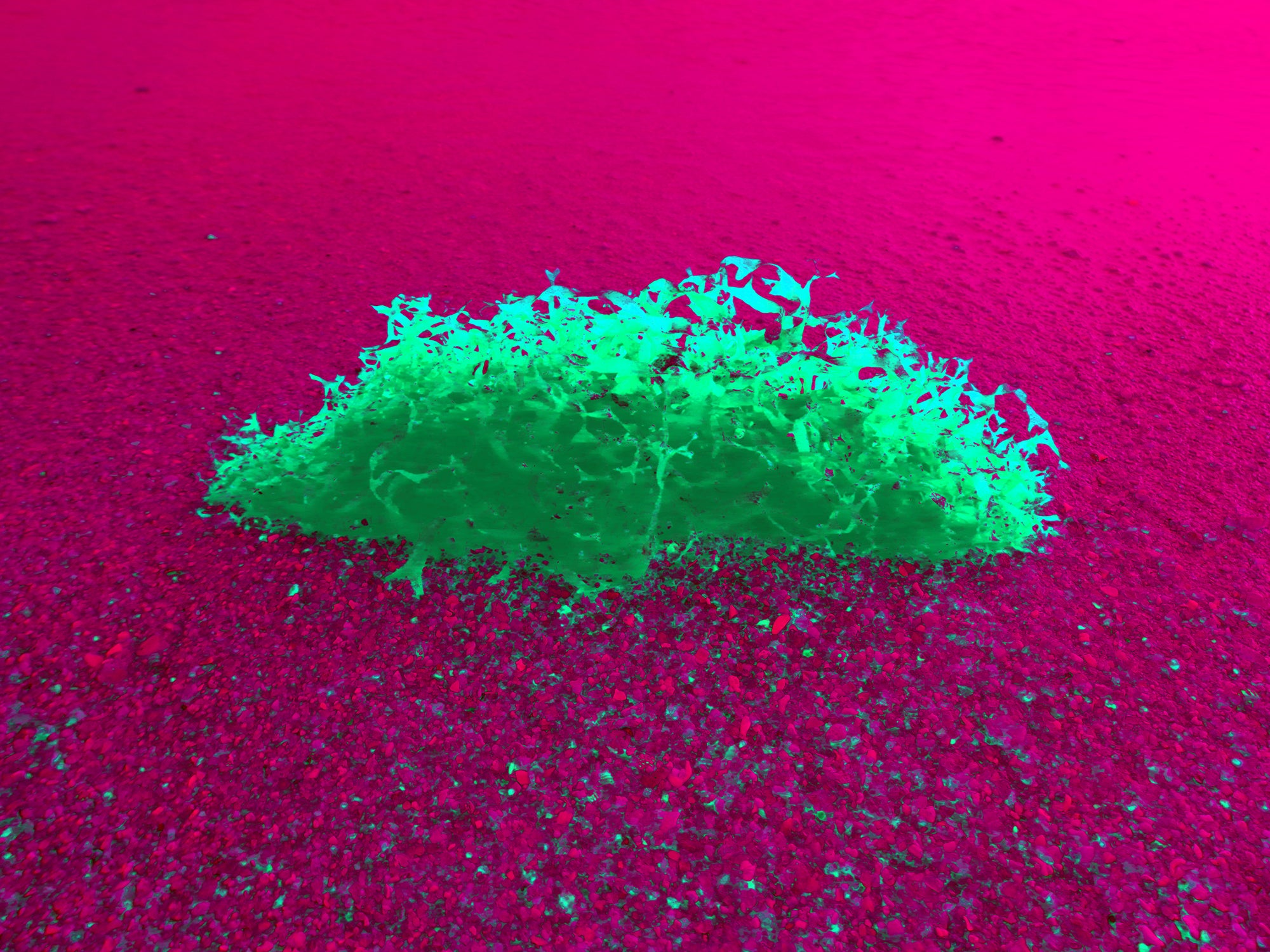 Tjaša Iris, WEIRD ISLAND, 2, 2023, 120 x 160 cm