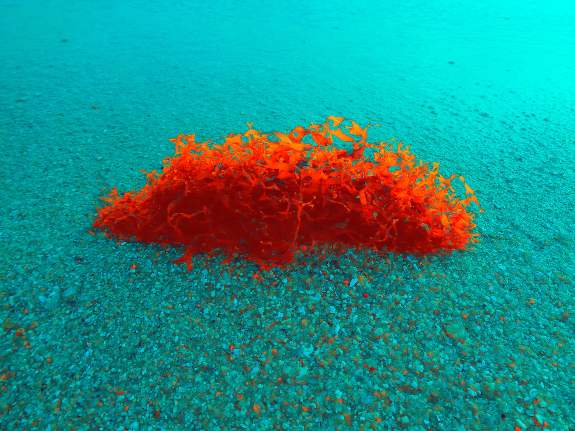 Tjaša Iris, WEIRD ISLAND, 1, 2023, 120 x 160 cm